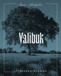 Detská kniha Valibuk
