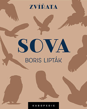Dětská kniha Sova