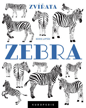 Dětská kniha Zebra