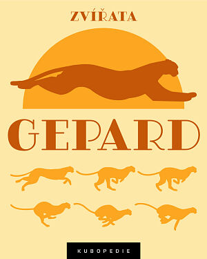 Dětská kniha Gepard