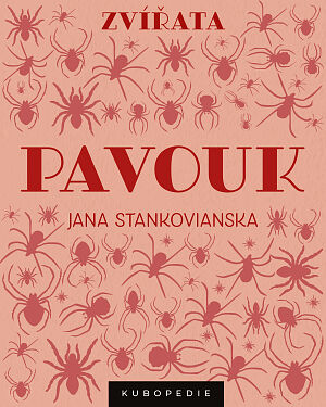 Dětská kniha Pavouk