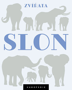 Dětská kniha Slon