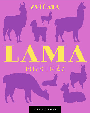 Dětská kniha Lama