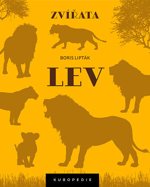 Dětská kniha Lev
