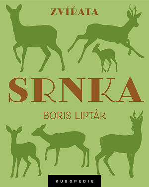 Dětská kniha Srnka
