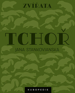 Dětská kniha Tchoř