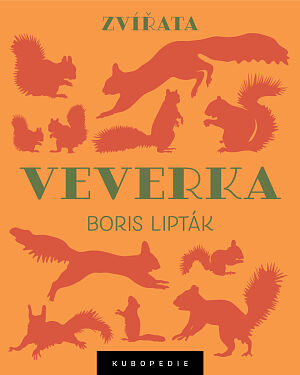 Dětská kniha Veverka