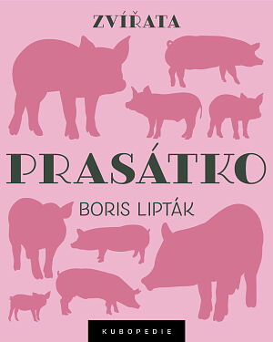 Dětská kniha Prasátko