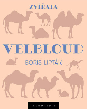 Dětská kniha Velbloud