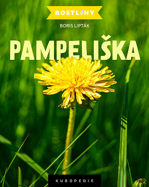 Dětská kniha Pampeliška