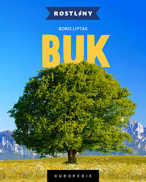 Dětská kniha Buk