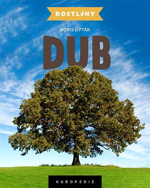 Dětská kniha Dub