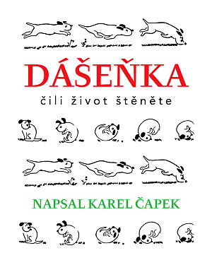 Dětská kniha Dášenka