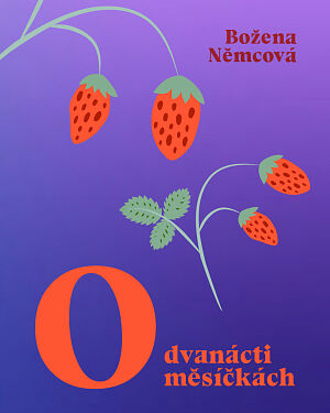 Dětská kniha O dvanácti měsíčkách