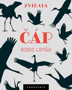 Dětská kniha Čáp