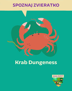 Detská kniha AHA svet: Krab Dungeness. Spoznaj zvieratko