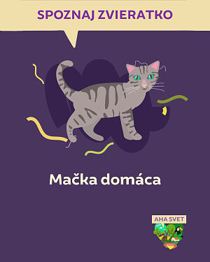 Detská kniha AHA svet: Mačka domáca. Spoznaj zvieratko