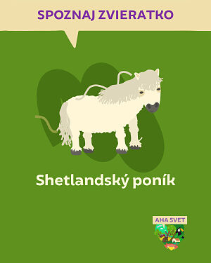 Detská kniha AHA svet: Shetlandský poník. Spoznaj zvieratko