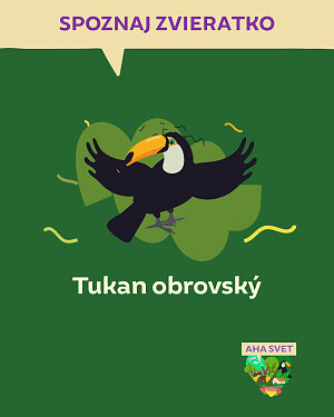 Detská kniha AHA svet: Tukan obrovský. Spoznaj zvieratko