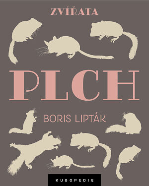 Dětská kniha Plch