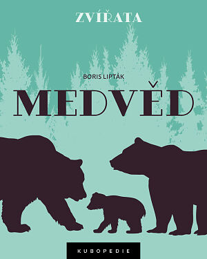 Dětská kniha Medvěd