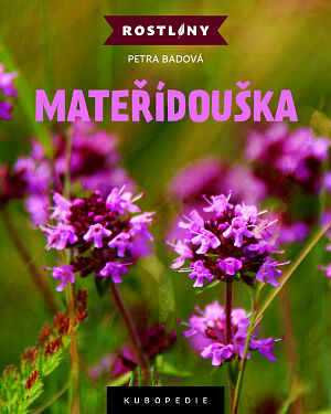 Dětská kniha Mateřídouška