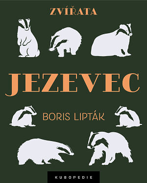 Dětská kniha Jezevec