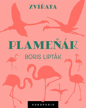 Dětská kniha Plameňák