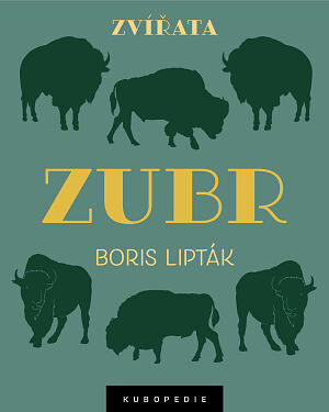 Dětská kniha Zubr
